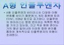 면역계에 대한 발표 PPT 16페이지