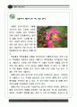 백제의 미소 서산 역사기행 28페이지