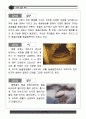 시간속으로의 여행 동굴 자료집 14페이지