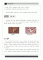 시간속으로의 여행 동굴 자료집 16페이지