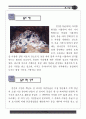 시간속으로의 여행 동굴 자료집 23페이지