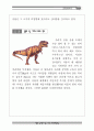 공룡과 지층 자료집 11페이지