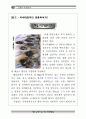 공룡과 지층 자료집 24페이지