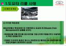 도요타리콜사태와그해결방안 11페이지