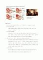 낙태 보고서 입니다. 10페이지
