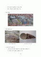 장성군 북이면 일대 야외탐사 13페이지