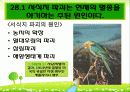 28장 서식지 소실, 생물다양성 및 보전 3페이지