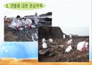 환경교재연구 갯벌 수업자료 25페이지