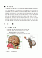 뇌사와 장기이식 보고서 입니다. 3페이지