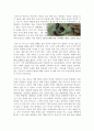 뇌사와 장기이식에 대해 6페이지