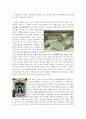 뇌사와 장기이식에 대해 7페이지