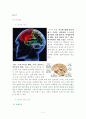 생명윤리 뇌사와 장기이식 2페이지