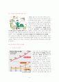 생명윤리 뇌사와 장기이식 6페이지