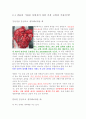 뇌사와 장기이식 보고서 입니다. 4페이지