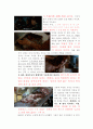 뇌사와 장기이식 보고서 입니다. 10페이지
