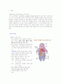뇌사와 장기이식 보고서 입니다. 3페이지