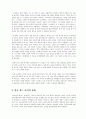 [역사와영화]연을쫓는아이의 분석 비평과 연을쫓는아이의 한계  11페이지
