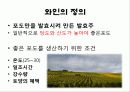 양조주에 대하여 9페이지