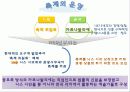 프랑스의 니스카니발 축제 (이벤트) 11페이지