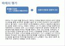 프랑스의 니스카니발 축제 (이벤트) 17페이지