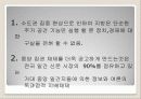 대중매체 지역 분권 시대의 지역 신문의 역할과 전망 5페이지