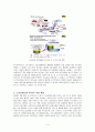 M&A 성공 실패 사례 - 일본 소프트뱅크, 동성화학 에스텍 인수시도, KCC 현대엘리베이터 인수 5페이지