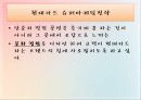 문화마케팅과 간호 16페이지
