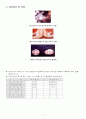 난소종양 컨퍼런스 7페이지