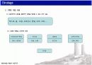 대전역세권 도시 브랜드 네이밍 Project 13페이지