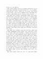 복지국가성격논쟁-김대중정부의 정책성격분석 비판 4페이지