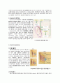 성의 생물학 리포트(레포트) - 성호르몬 5페이지