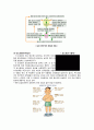성의 생물학 리포트(레포트) - 성호르몬 14페이지