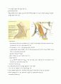 CAE (Carotid Artery Endarterectomy) 3페이지