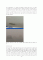 사회문제 잼점, 환경과 위험(성장과개발,쓰나미,지구온난화,유전자변형식품) 보고서  34페이지