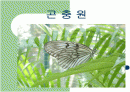 곤충원에 대하여 1페이지