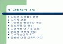 곤충원에 대하여 5페이지