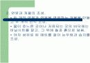 곤충원에 대하여 10페이지