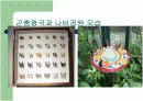곤충원에 대하여 27페이지