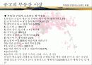선전(심천) 투자 개황 23페이지