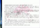 선전(심천) 투자 개황 43페이지