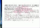 선전(심천) 투자 개황 44페이지