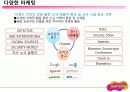 히든챔피언 슈프리마 15페이지