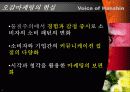 후각 및 촉각 마케팅 4페이지