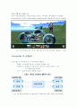 세컨드 라이프 second life의 운영방안, 기술사항 및 앞으로의 전망에 대한 의견 2페이지