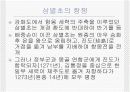 (한국사) 대몽항쟁과 팔만대장경 13페이지