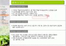 유기농 음식점 사업계획서 8페이지