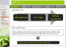 유기농 음식점 사업계획서 11페이지