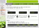 유기농 음식점 사업계획서 12페이지