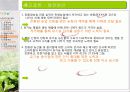 유기농 음식점 사업계획서 13페이지