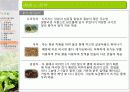 유기농 음식점 사업계획서 25페이지